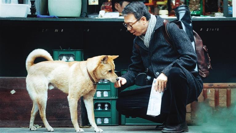 忠犬八公，无言的忠诚，深沉的爱意