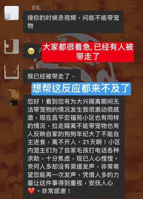 昌平宠物救助，守护弱小生命的关键力量