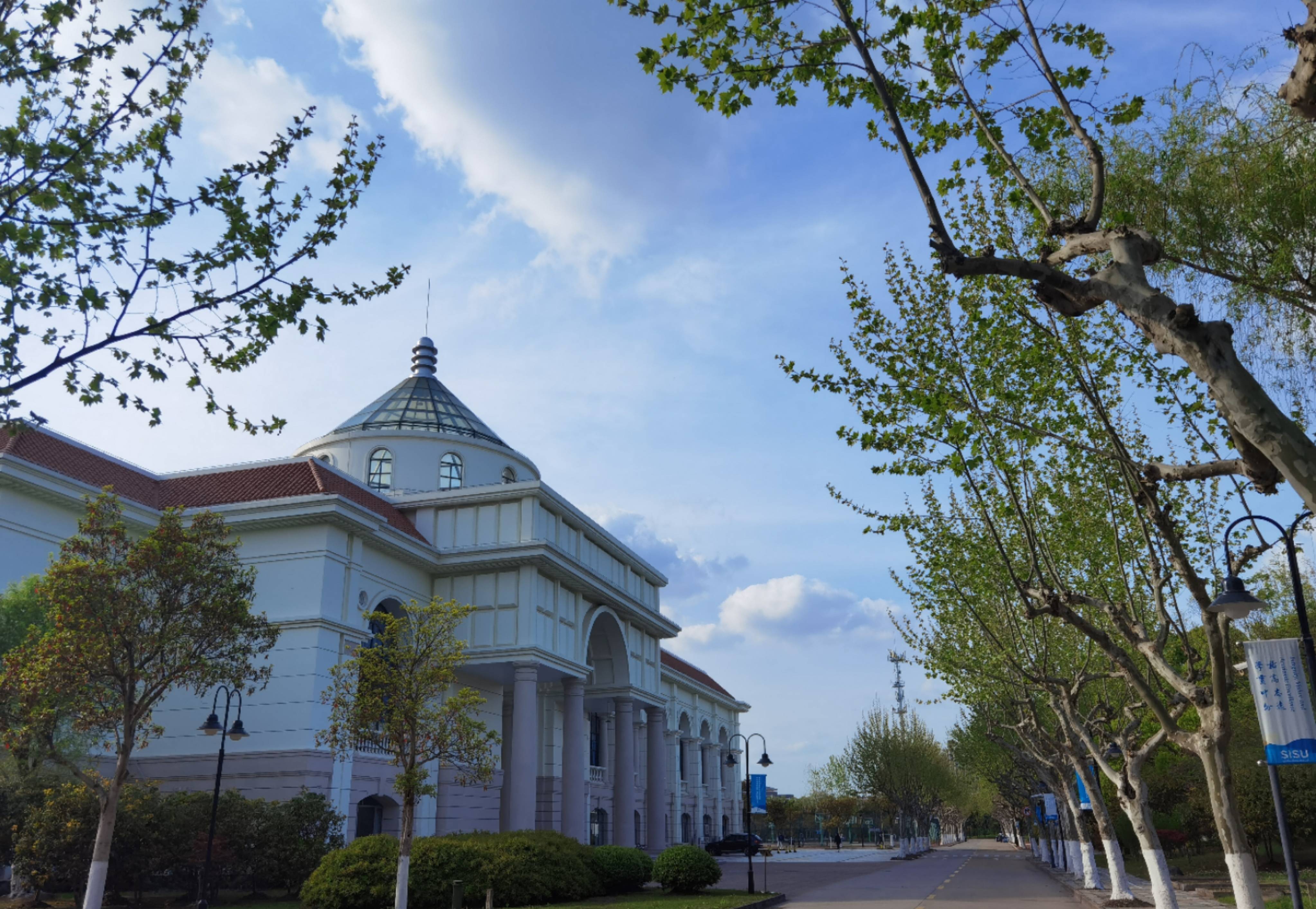 外国语大学热门专业深度解析与前景展望