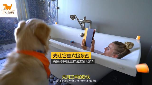 训练狗狗拿东西的指南或技巧