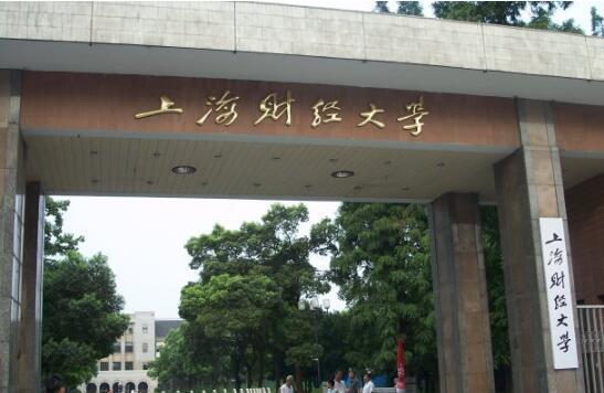 上海财经大学专业魅力深度解析