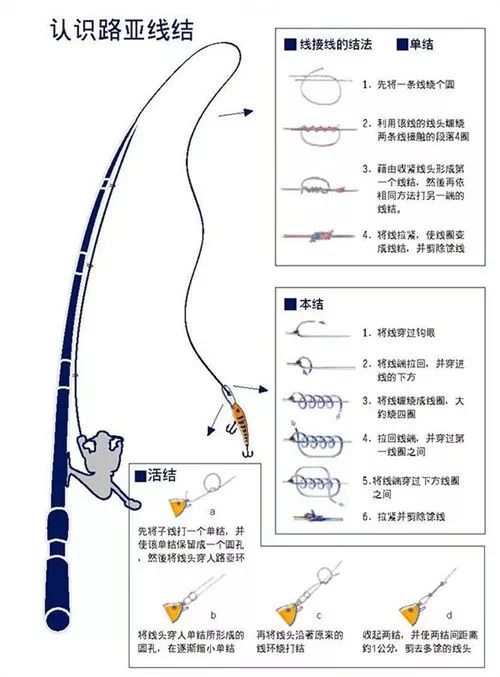 2025年1月5日 第6页