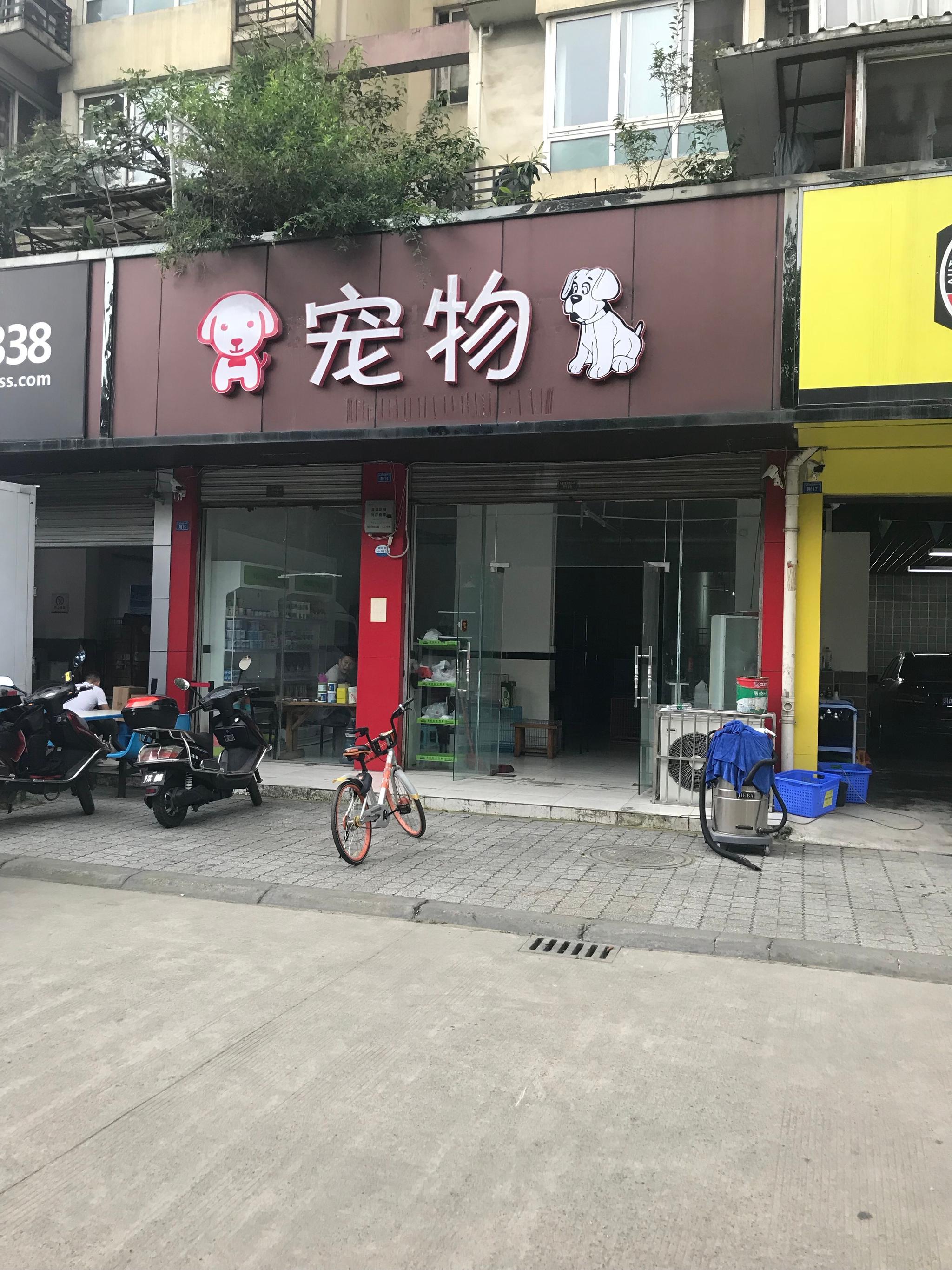 成都乖乖宠物店，宠物爱好者的欢乐天地