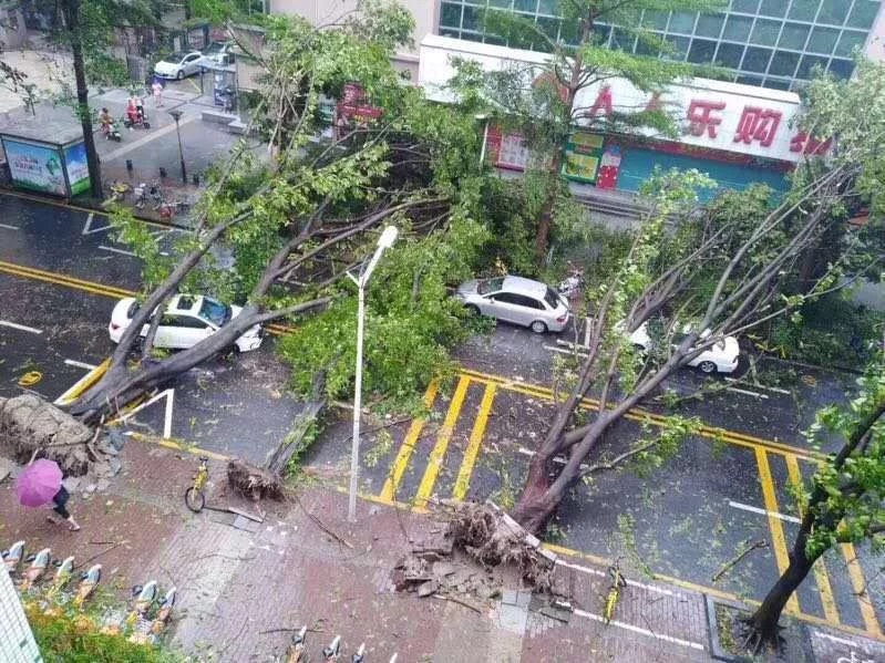 深圳台风来袭，广东应对策略揭秘