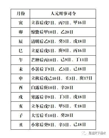 八字养宠秘籍，实现人与宠物和谐共生之道