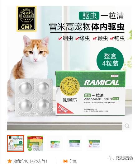 猫咪绝育消炎药的重要性及正确应用方法指南