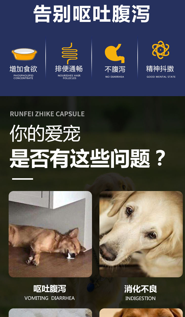 狗狗呕吐拉稀病症详解及药物治疗指南