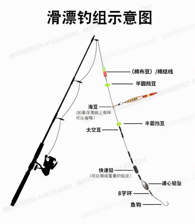 路亚线选择指南，几号线最佳？全面解析！