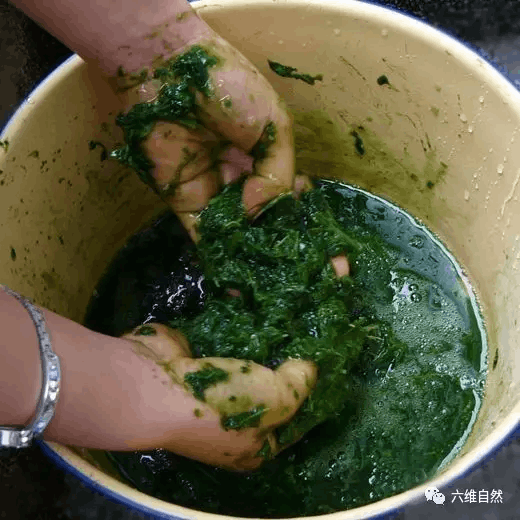 绿豆腐的独特魅力及制作方法探索