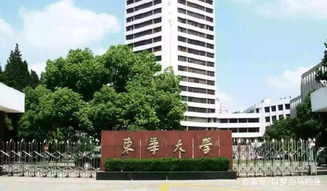 东华大学专业深度解析与探讨