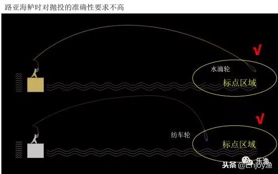 纺车轮与路亚抛投，高效精准钓鱼技巧探索