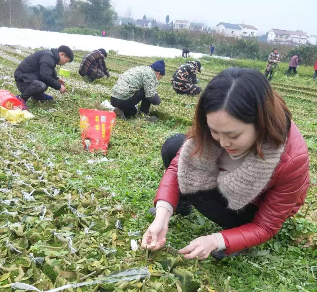 美户品牌，卓越品质的典范标杆