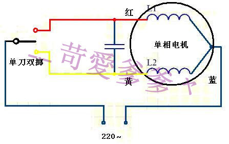 新手路亚钓鱼如何选择适合的钓鱼线大小？